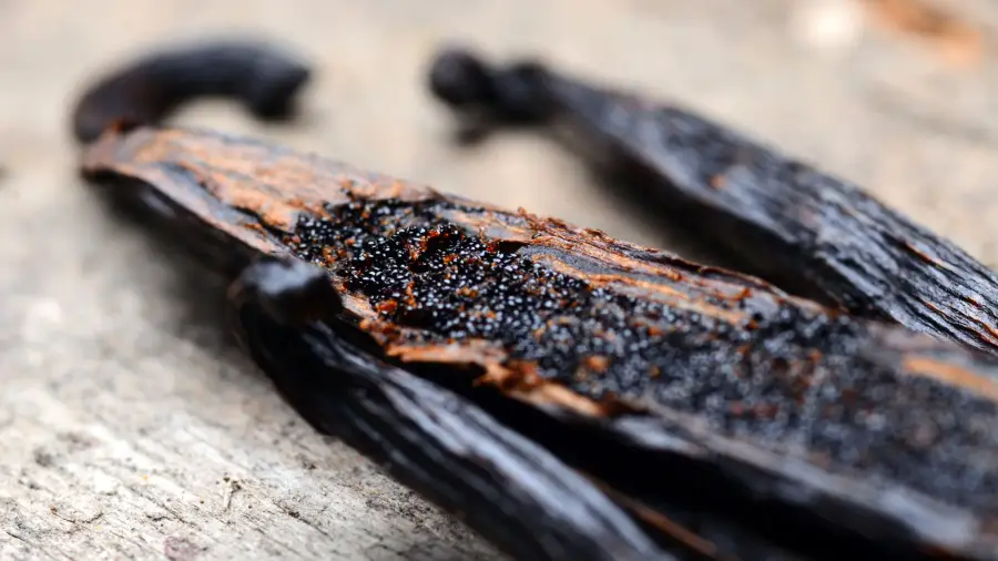 VANILLA CAVIAR - Image 1